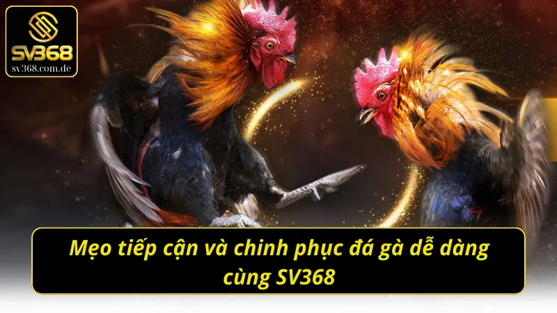 Mẹo để cược thủ dễ dàng tham gia đá gà SV368