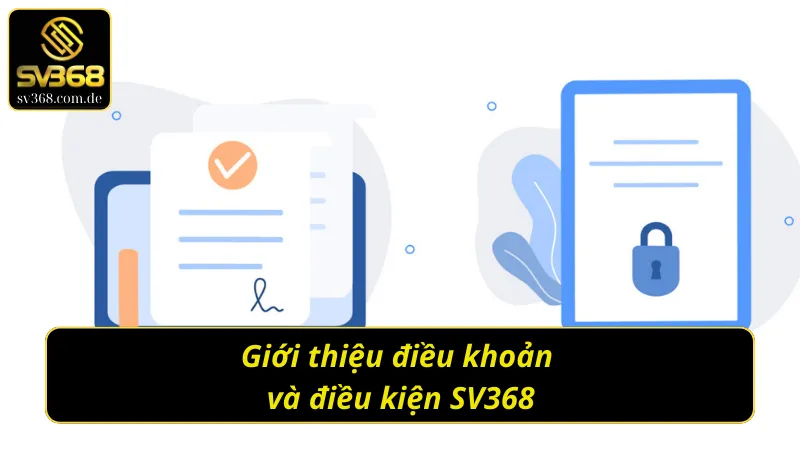 Giới thiệu điều khoản và điều kiện SV368