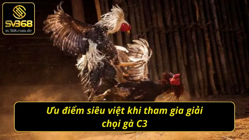 Những ưu điểm vượt trội có tại giải đá gà C3