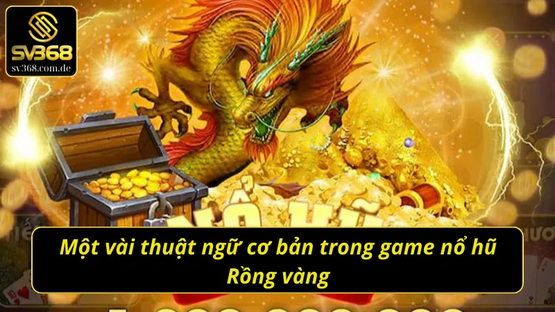 Một vài thuật ngữ cơ bản trong nổ hũ Rồng vàng SV368