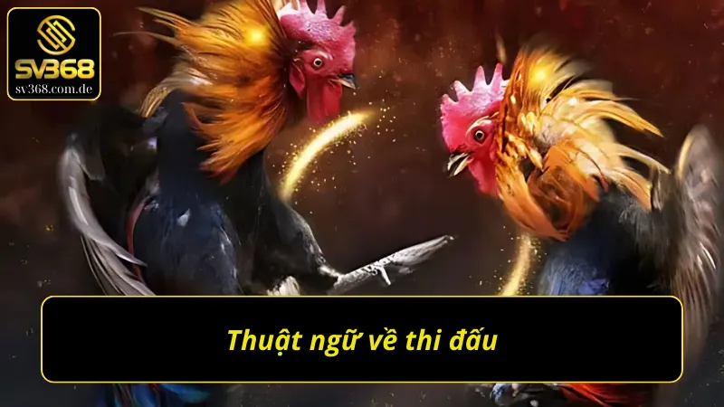 Thuật ngữ đá gà về thi đấu